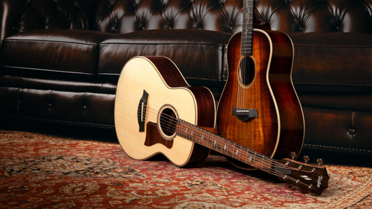 What-Instrument-Family-Is-The-Acoustic-Guitar-In Electric Melody Store