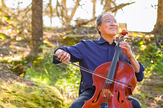 How-Much-Is-Yo-Yo-Mas-Cello Electric Melody Store