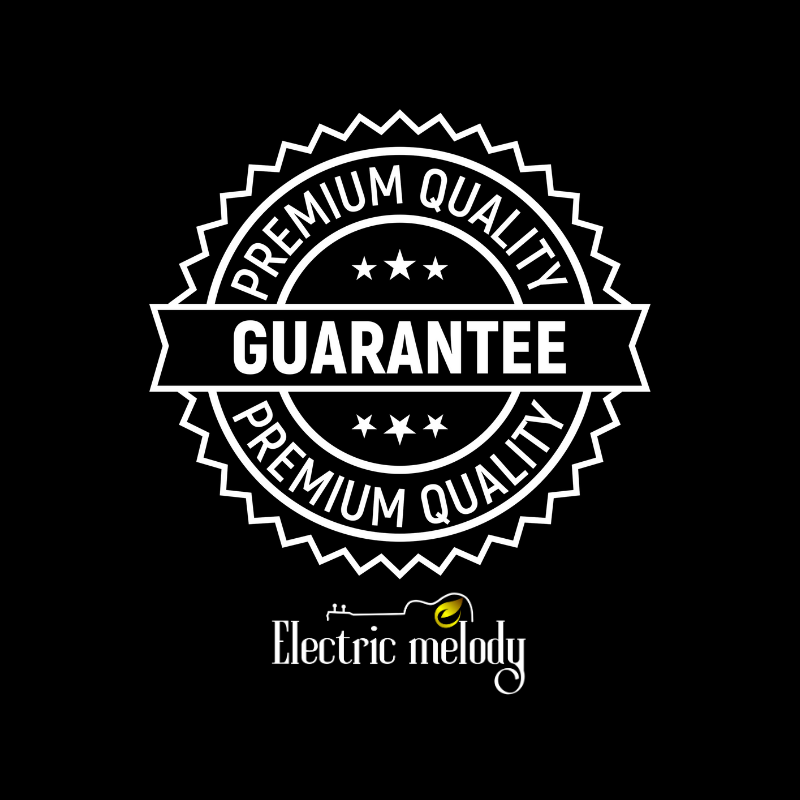 Prioritize Your Order - Electric Melody Store