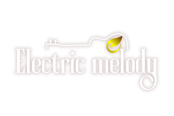 Electric Melody Store