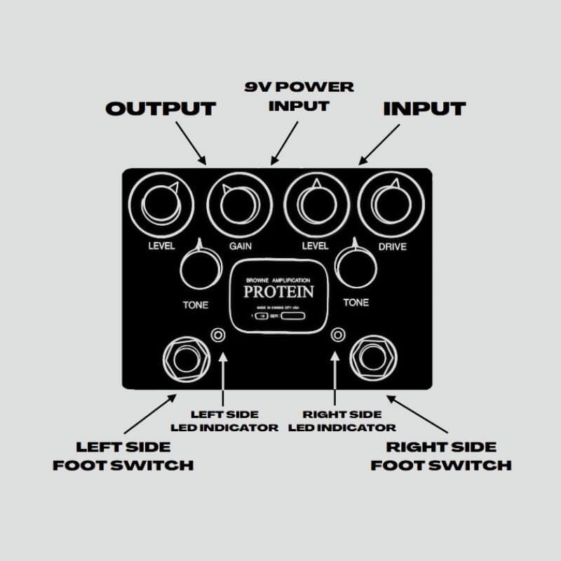 ⏰BLACK FRIDAY SALE 60% OFF🎁Protein Dual Overdrive 3.0