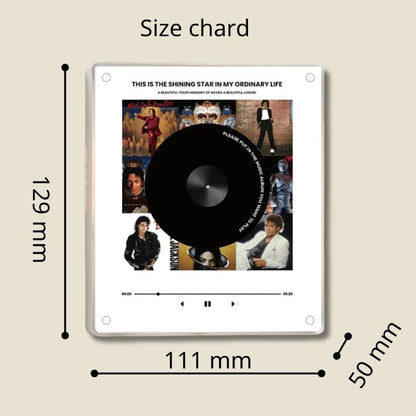 Magnetic Vinyl Box Pro